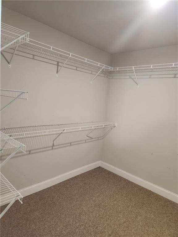 2439 Muirfield Pl, Atlanta, GA 30337 - walk in closet with carpet flooring