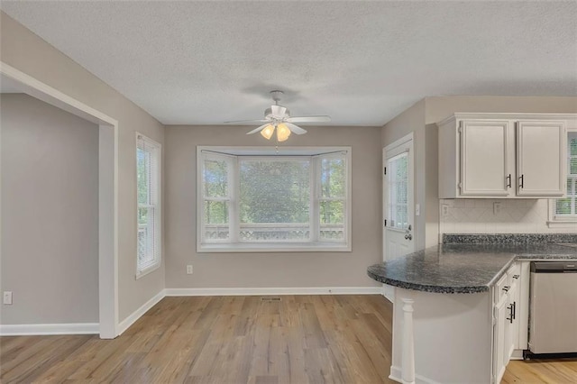 kitchen featuring light wood finished floors, ceiling fan, a textured ceiling, and dishwasher