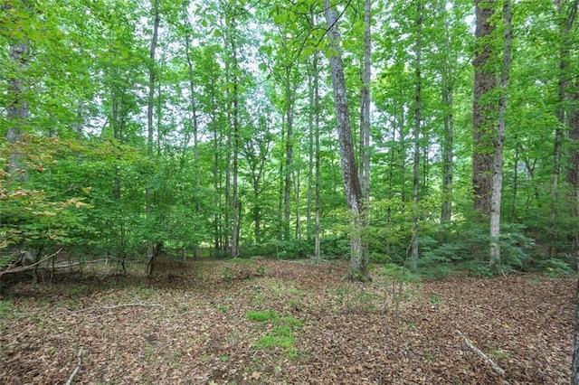 view of landscape featuring a view of trees