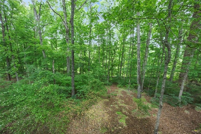 view of landscape with a view of trees
