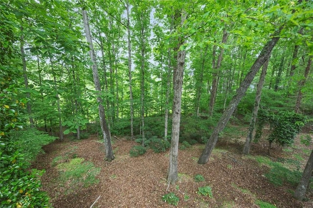 view of local wilderness with a view of trees