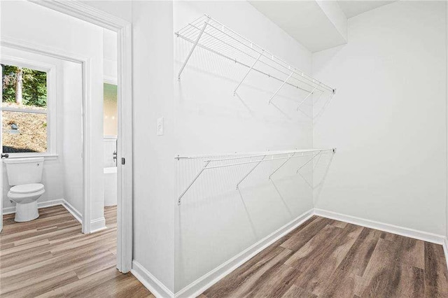 walk in closet featuring wood finished floors