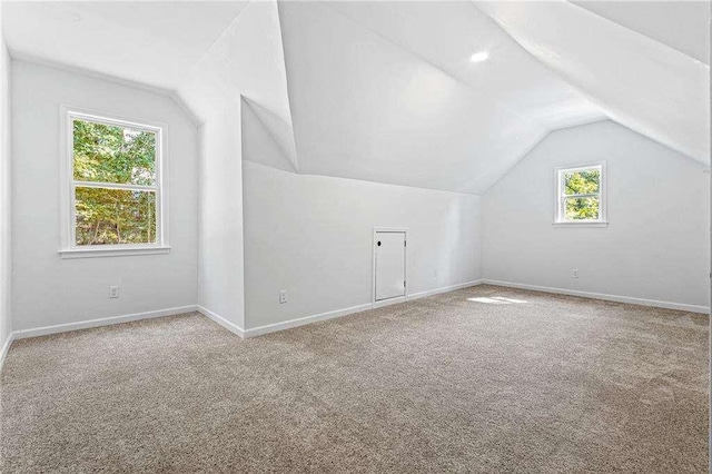 additional living space featuring lofted ceiling, baseboards, and carpet flooring