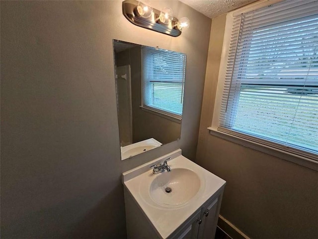 bathroom with vanity, a textured ceiling, baseboards, and wood finished floors