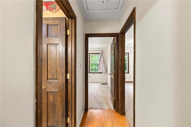 hall with light wood-style floors, baseboards, and light carpet