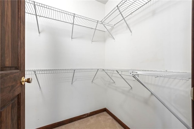 walk in closet with light colored carpet
