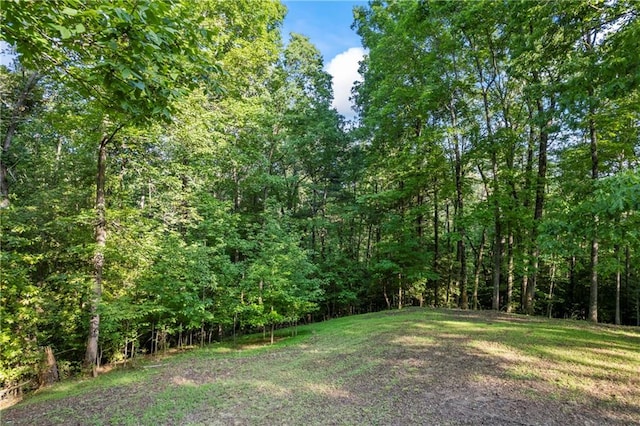 view of green lawn featuring a wooded view
