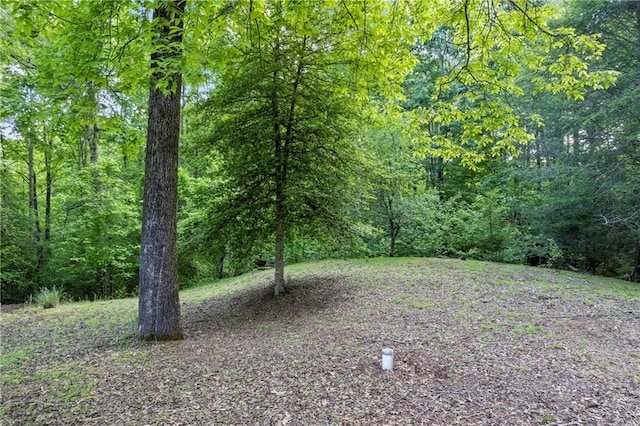 view of yard featuring a forest view
