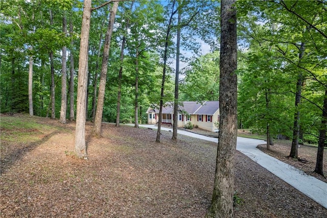 view of yard featuring driveway