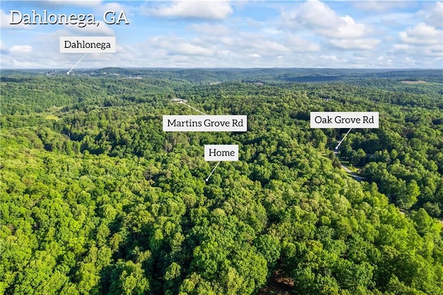view of property location with a forest