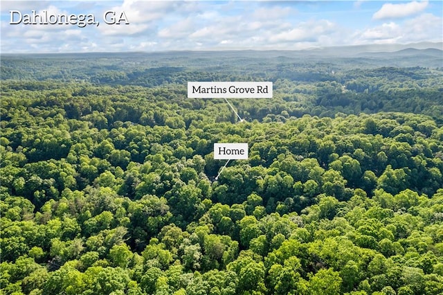 drone / aerial view of a forest