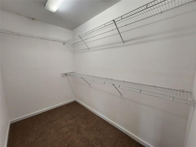 walk in closet with carpet