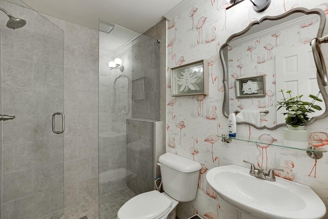 bathroom featuring sink, a shower with door, and toilet