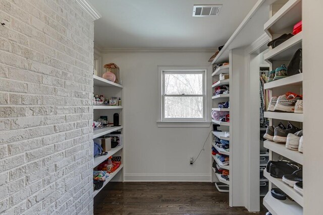 spacious closet featuring dark wood-type flooring