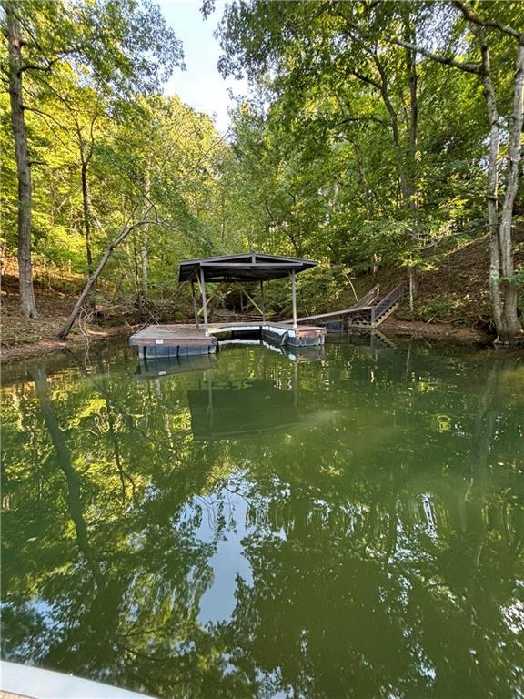 dock area with a water view