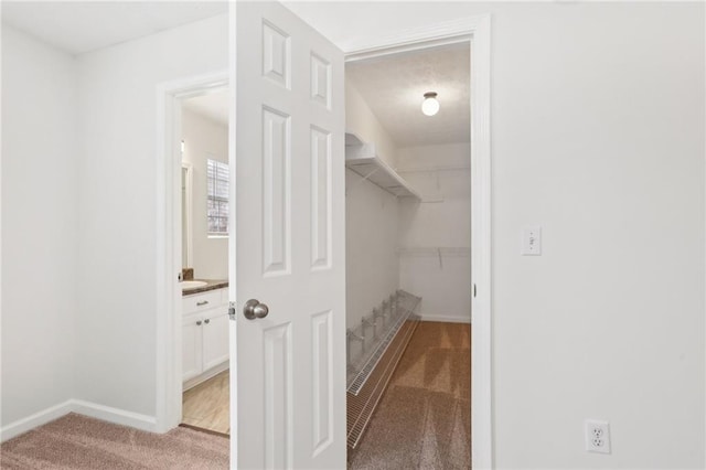 spacious closet featuring light colored carpet