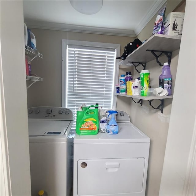 washroom featuring crown molding and washing machine and clothes dryer