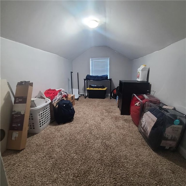 additional living space with vaulted ceiling and carpet flooring