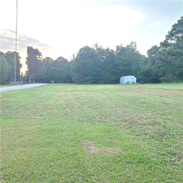 view of yard with a storage shed