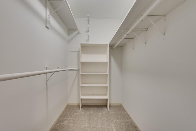 spacious closet featuring light colored carpet