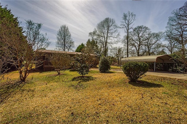 view of yard featuring a detached carport