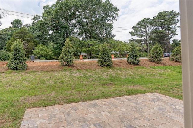 view of yard with a patio