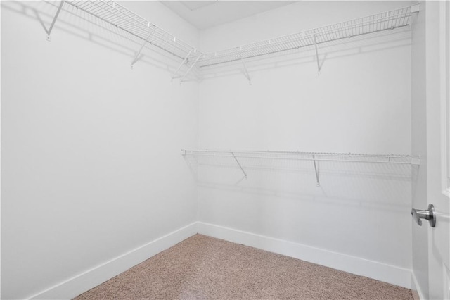 spacious closet with carpet floors