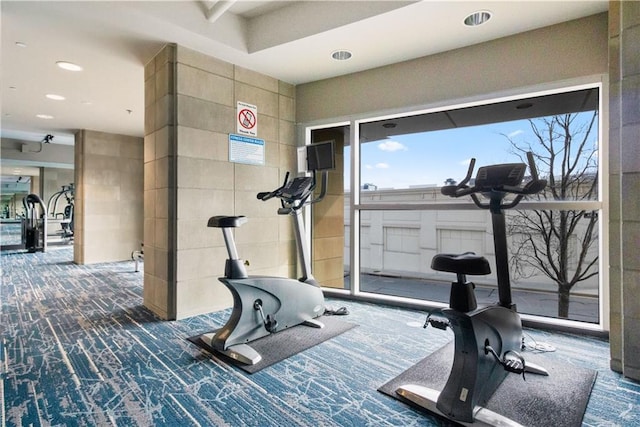 workout area featuring carpet