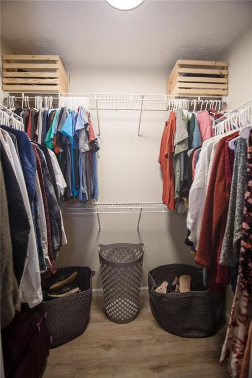 spacious closet with hardwood / wood-style flooring