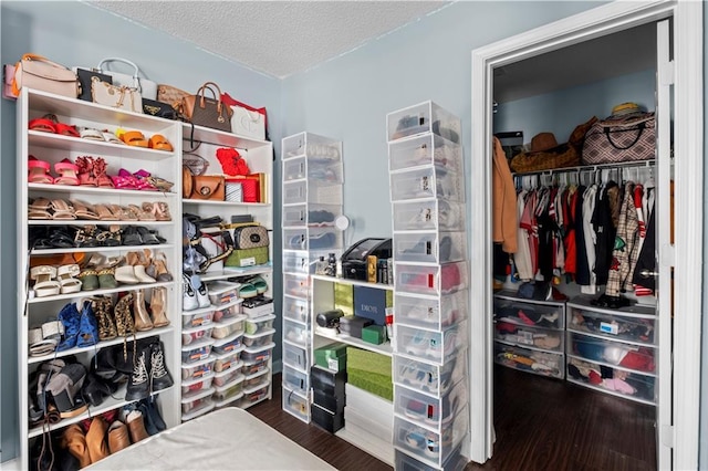 spacious closet with wood finished floors