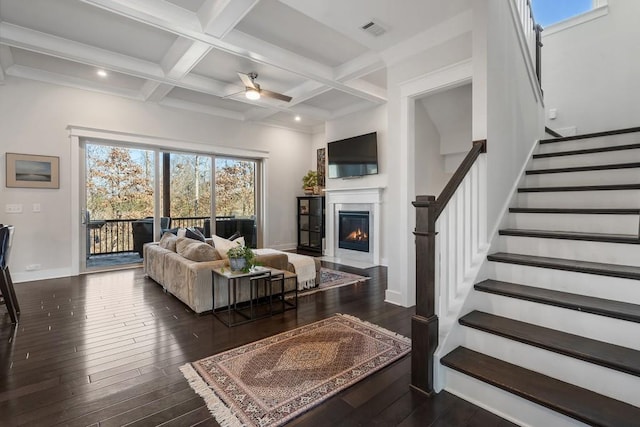 living room featuring ceiling fan, beam ceiling, dark wood-type flooring, and coffered ceiling