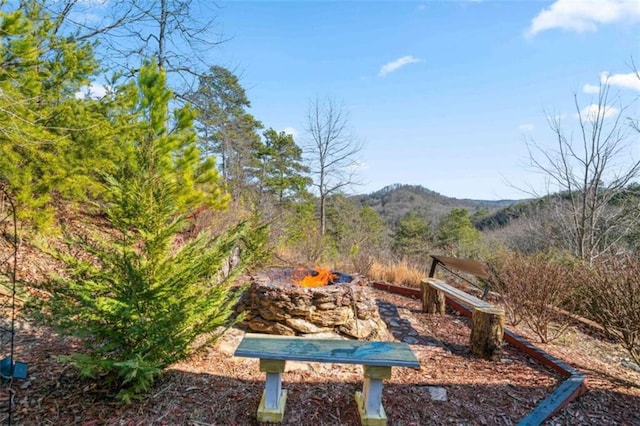 view of yard featuring a mountain view