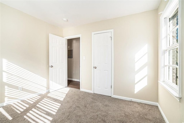 interior space featuring a closet and carpet flooring