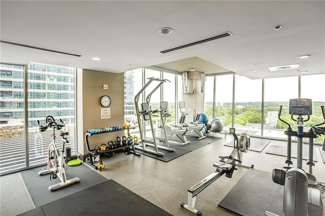 workout area featuring expansive windows