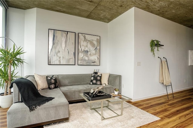 living room featuring hardwood / wood-style floors