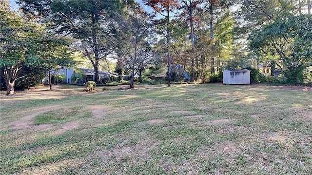 view of yard with a storage shed