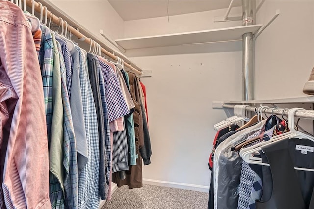 walk in closet featuring carpet floors