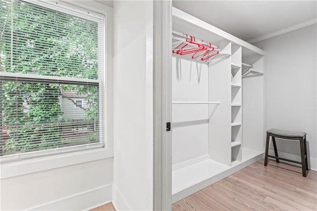 walk in closet featuring hardwood / wood-style floors