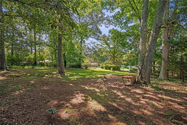 6674 Cowan Mill Rd, Winston, GA 30187 - view of yard