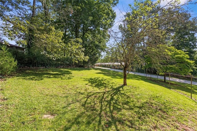 6674 Cowan Mill Rd, Winston, GA 30187 - view of yard
