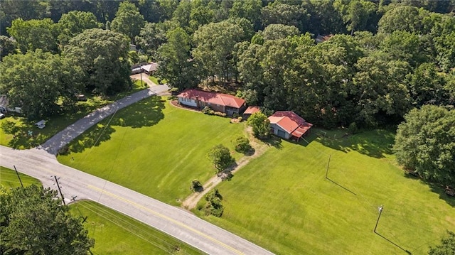 6674 Cowan Mill Rd, Winston, GA 30187 - drone / aerial view