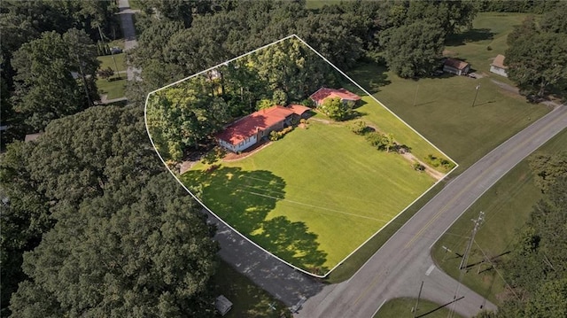 6674 Cowan Mill Rd, Winston, GA 30187 - aerial view of property's location featuring property boundaries highlighted