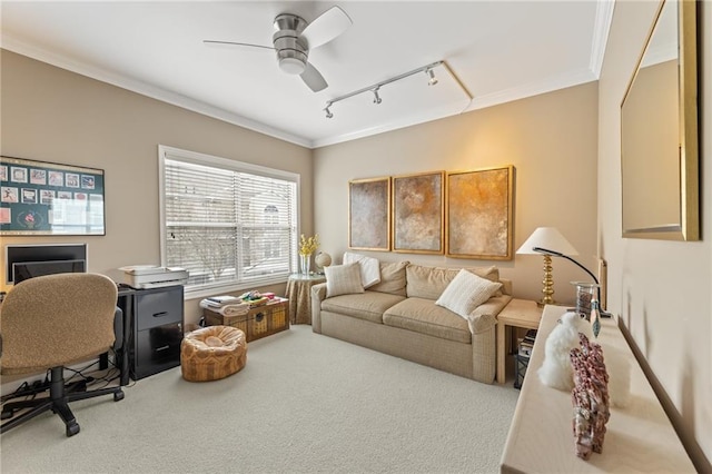 carpeted office featuring ornamental molding, track lighting, and a ceiling fan