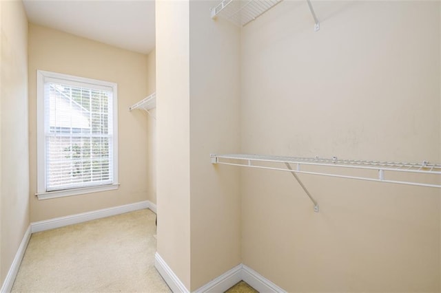 spacious closet with carpet flooring