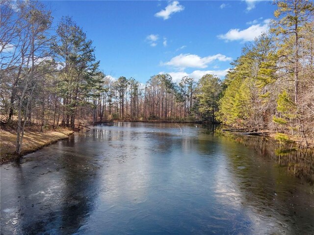 5422 Hill Rd SW, Powder Springs, GA 30127 - water view with a forest