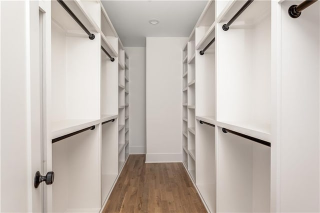 walk in closet with light wood-type flooring