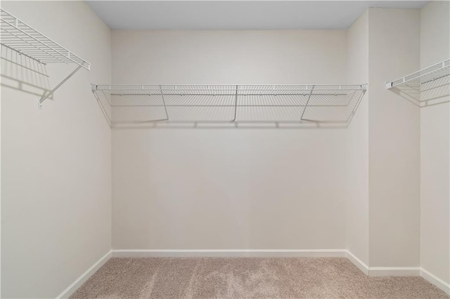 walk in closet with carpet flooring