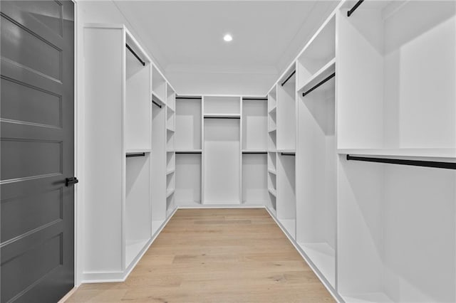 spacious closet with light wood-type flooring