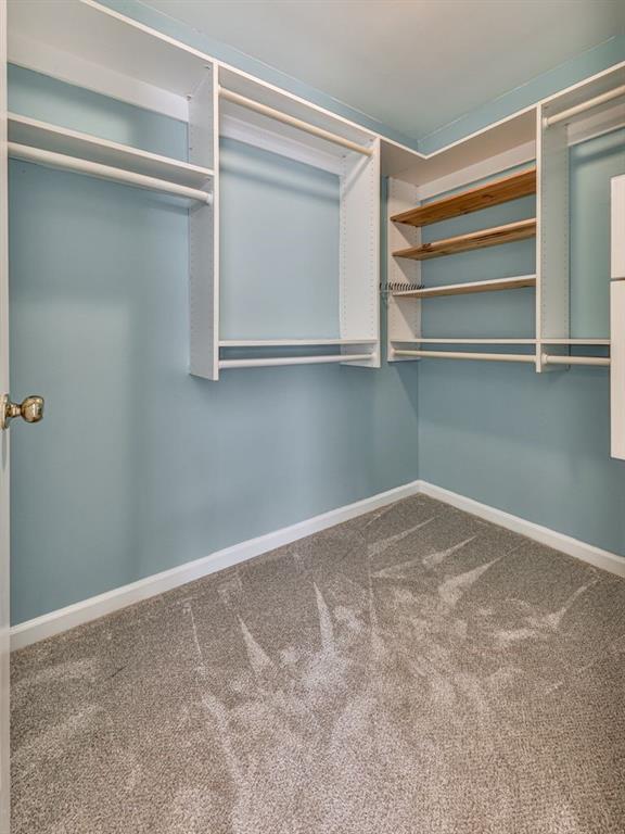 walk in closet with carpet