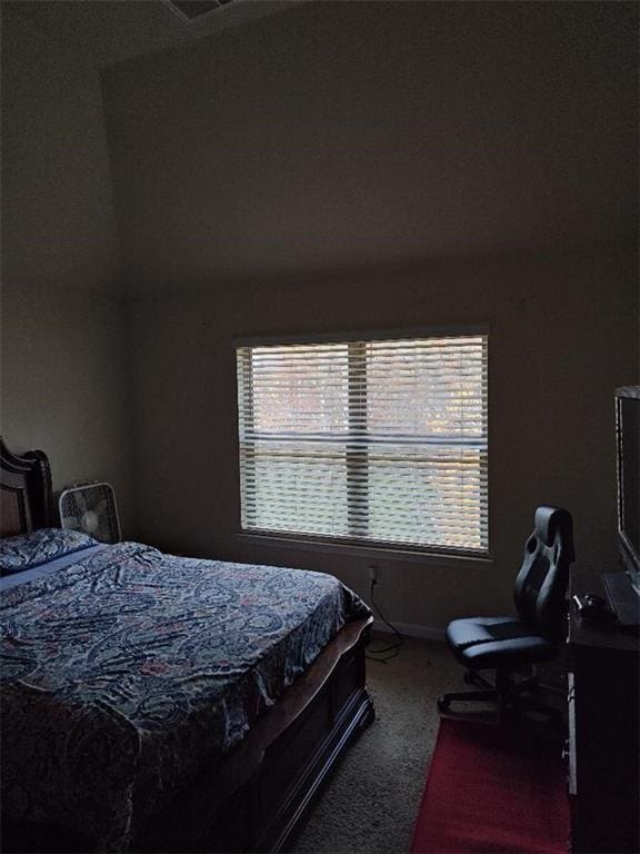 bedroom featuring dark carpet